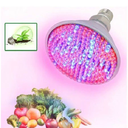 168レッド　ブルー　LED ORCHIDライト220V 98W