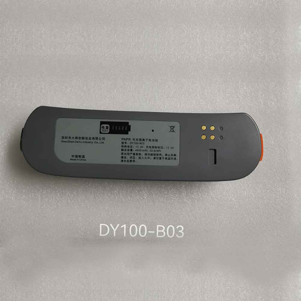 DY100-B03 10.8V